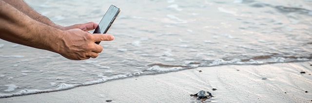 Jak zrobić dobre zdjęcie smartfonem? Kilka przydatnych wskazówek